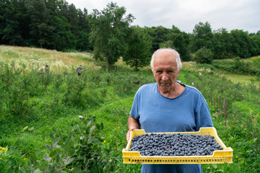 Similar image 21951206