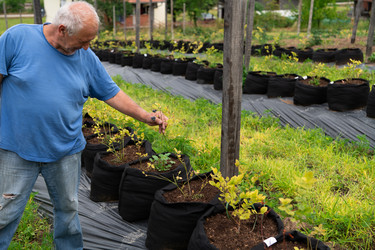 Similar image 21951208