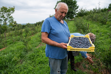 Similar image 21951211