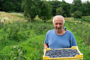 Similar image 21951215