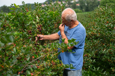 Similar image 21951300