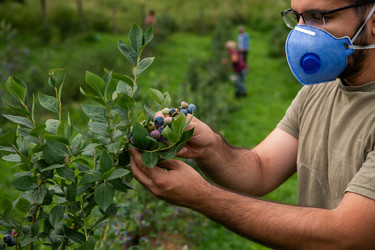 Similar image 21966288