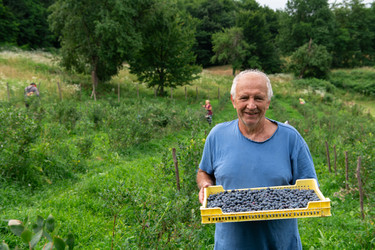 Similar image 21966461