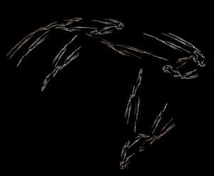 Similar image 21963505