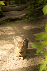 Similar image 21974243