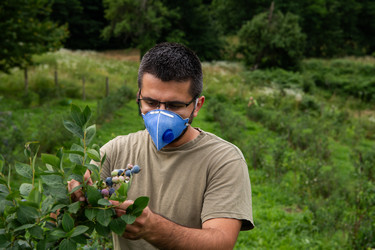 Similar image 21968937