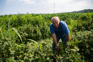 Similar image 21968992