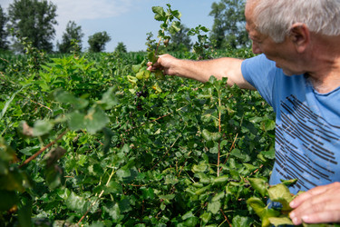 Similar image 21969086