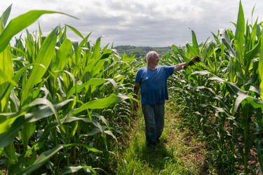 Similar image 21969087