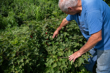 Similar image 21969089