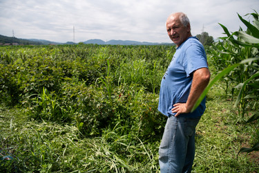 Similar image 21969229