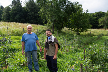 Similar image 21950475