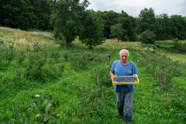 Similar image 21950809