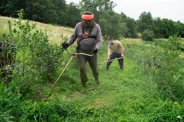 Similar image 21950810