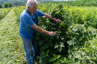 Similar image 21950815