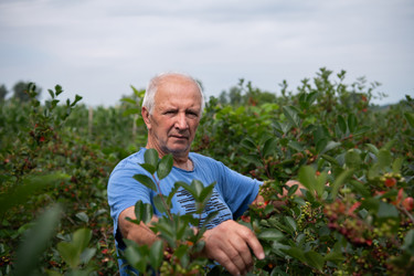 Similar image 21950819