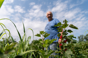 Similar image 21950916