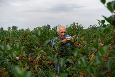 Similar image 21950917