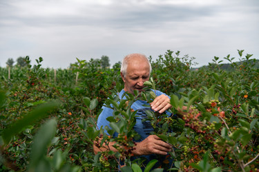 Similar image 21951221