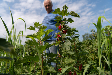 Similar image 21951303