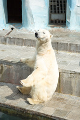 Similar image 21954669