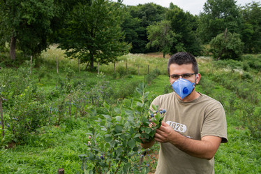 Similar image 21966291