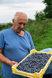 Similar image 21966664