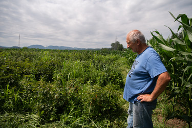 Similar image 21966978