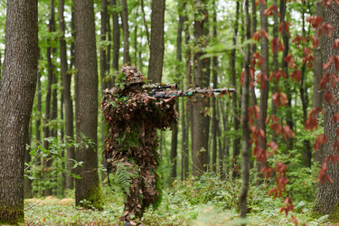 Similar image 21967498