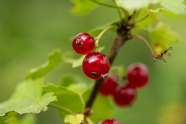 Similar image 21968939