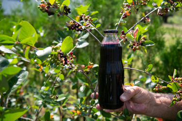 Similar image 21950481