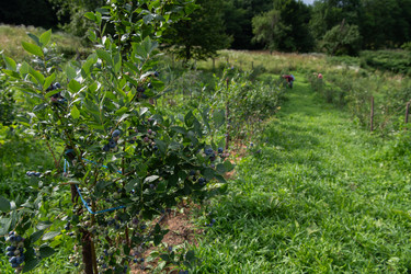 Similar image 21950834