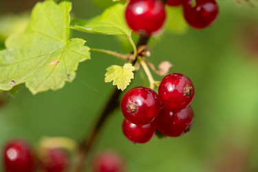 Similar image 21950835