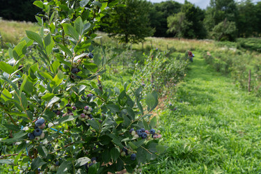 Similar image 21951233