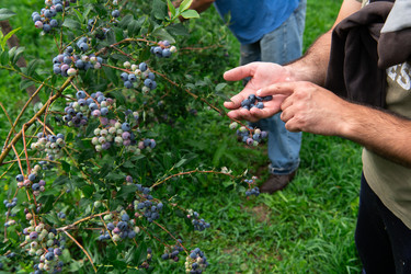 Similar image 21951241