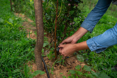 Similar image 21950490