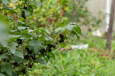 Similar image 21951252