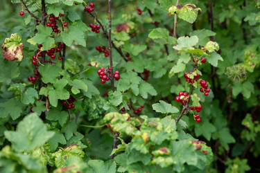 Similar image 21966293