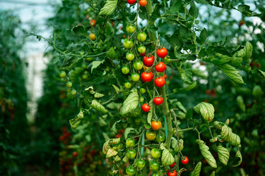 Similar image 21968942