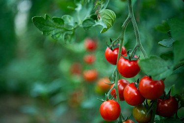 Similar image 21969095