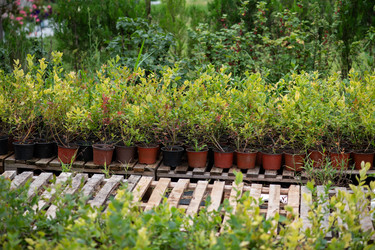 Similar image 21969237