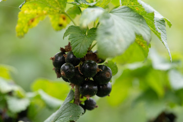 Similar image 21969240