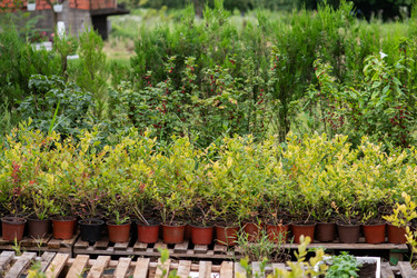 Similar image 21967109