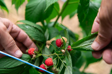 Similar image 21969249