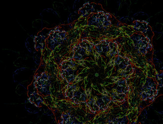 Similar image 21965781