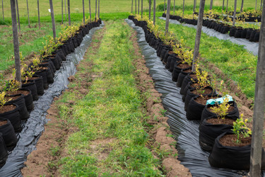 Similar image 21966991