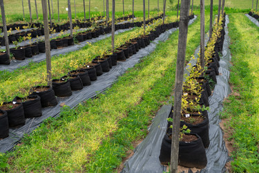 Similar image 21967068