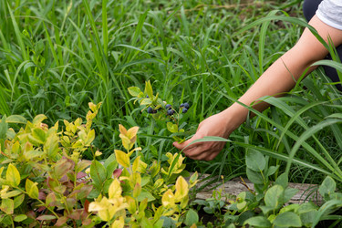 Similar image 21968959