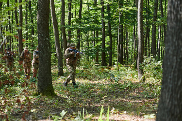 Similar image 21969270