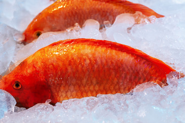 Similar image 21952007